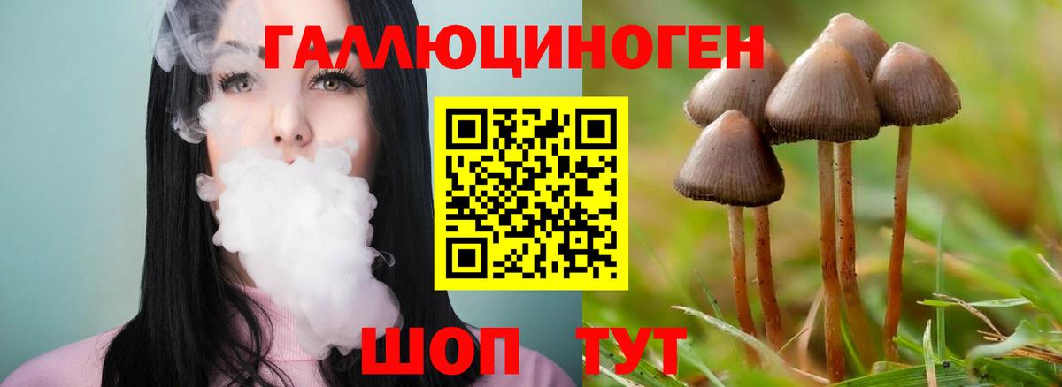 Галлюциногенные грибы прущие грибы Будённовск