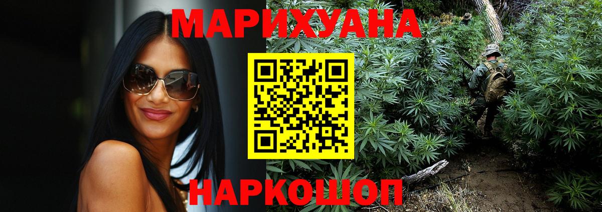 Бошки Шишки план Будённовск