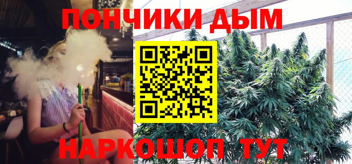 Бошки марихуана VHQ  Вход с VPN  Будённовск  Шишки марихуана конопля 